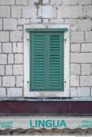 Photo Texture of Windows Shutters 0013